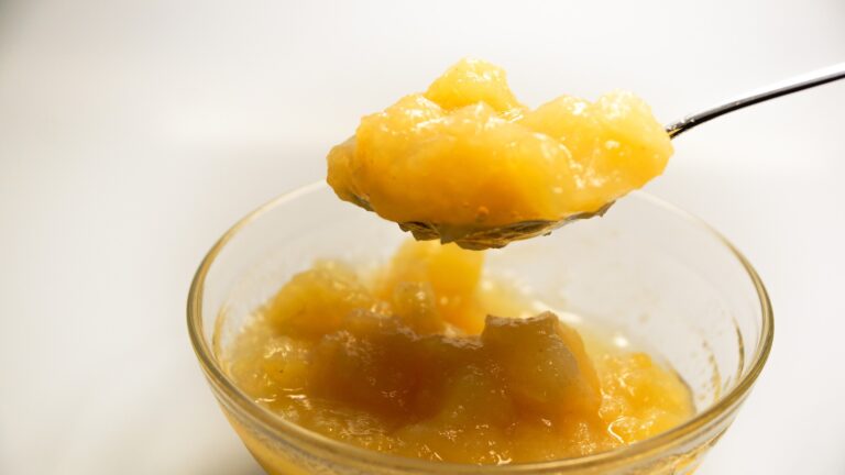 Compote de pommes au blender chauffant : La recette complète