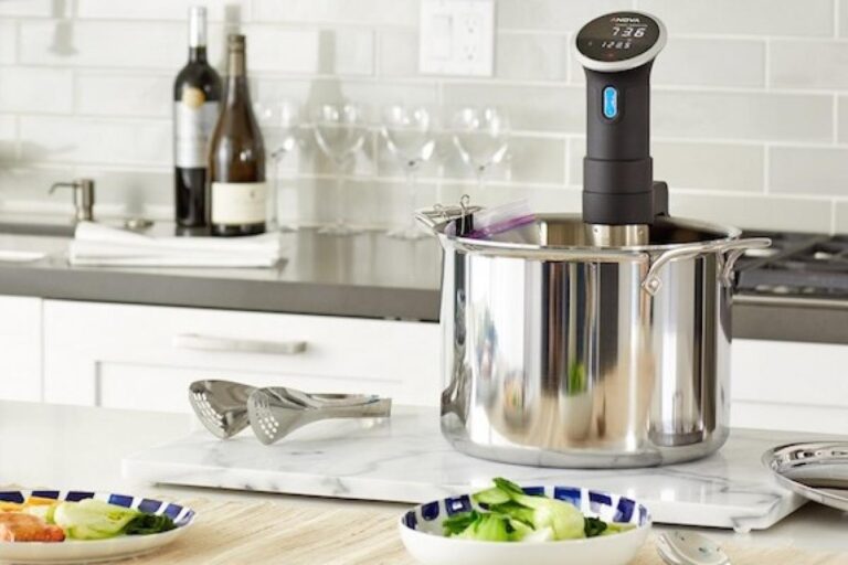 Quel est le meilleur cuiseur sous vide (thermoplongeur) ?