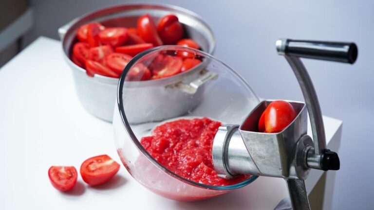Les meilleur presse-tomates : Comparatif & Guide d'achat